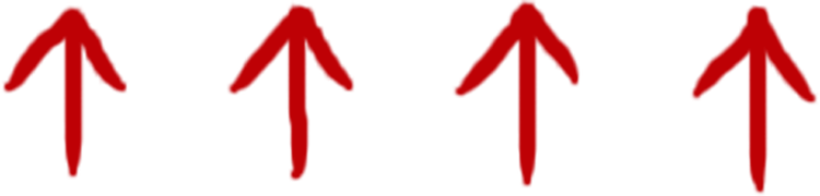 FoliPrime